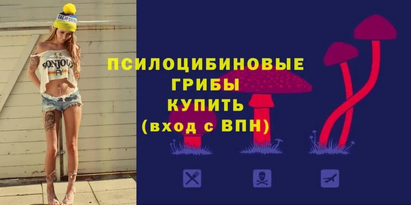 Альфа ПВП Алексеевка